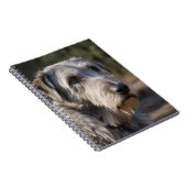 Carnet Irish Wolfhound Je Ne Suis Pas Amusé, (Côté Droit)