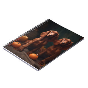 Carnet Irlandais Red Setter Chiot Automne Citrouille de p