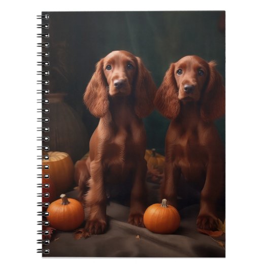 Carnet Irlandais Red Setter Chiot Automne Citrouille de p (Devant)