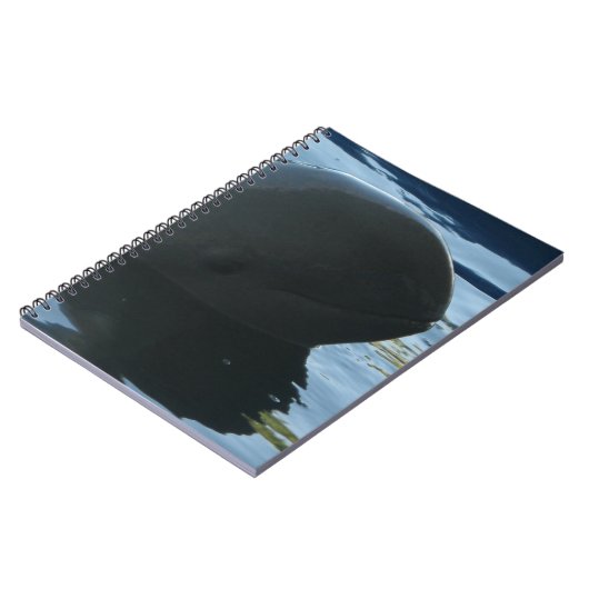 Carnet Irrawaddy Dolphin Peek-A-Boo (Côté gauche)