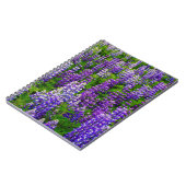 Carnet Islande. Vik i Myrdal. Champ de Lupines (Côté gauche)