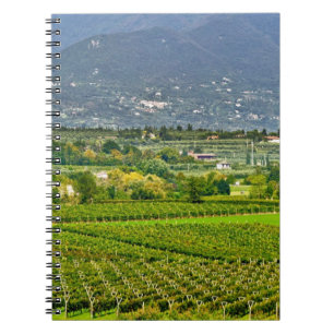 Carnet Italie, lac de Garde. Les rives du lac de Garde so