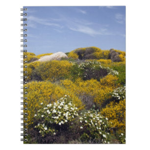 Carnet Italie, Sardaigne, Santa Teresa Gallura. Capo 3