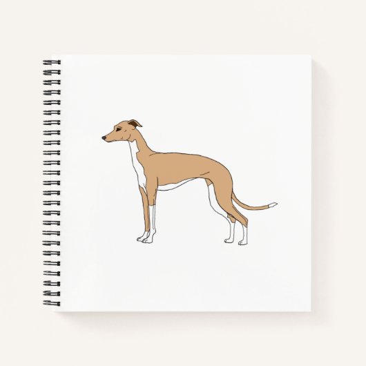 Carnet Italien Greyhound - Blue fawn (Devant)