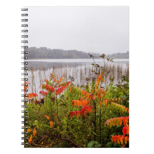 Carnet Itasca State Park | Minnesota (Devant)