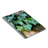 Carnet Ivy botanique vert et pierre de campagne (Côté Droit)