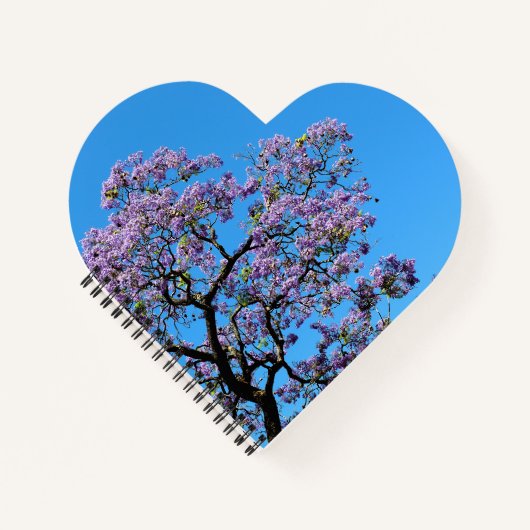 Carnet Jacaranda (Devant)