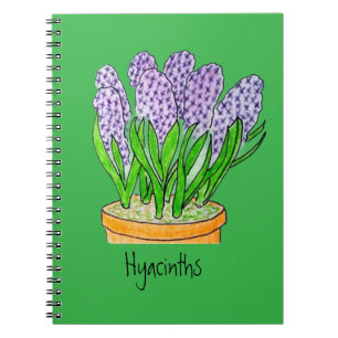 Carnet Jacinthes violettes dans un pot