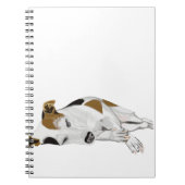 Carnet Jack Russell (Devant)