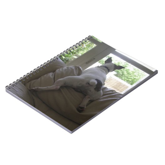 Carnet Jack Russell Terrier (Côté gauche)