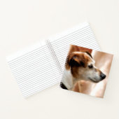 CARNET JACK RUSSELL TERRIER CHIEN (Intérieur)