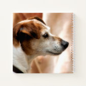 CARNET JACK RUSSELL TERRIER CHIEN (Dos)