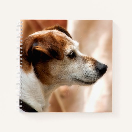 CARNET JACK RUSSELL TERRIER CHIEN (Devant)