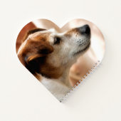 CARNET JACK RUSSELL TERRIER CHIEN (Dos)