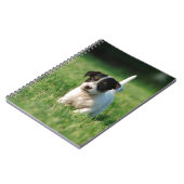Carnet Jack Russell Terrier puppy (Côté gauche)