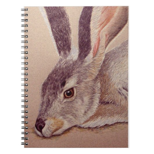 Carnet Jacklapin (Devant)