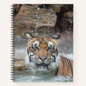 Carnet Jafar (Devant)