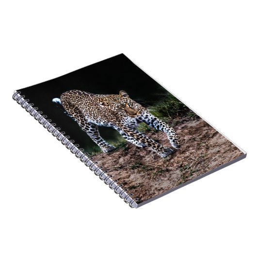 Carnet Jaguar (Côté Droit)