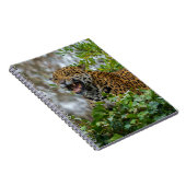 Carnet Jaguar Growl (Côté Droit)