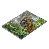 Carnet Jaguar Growl (Côté gauche)