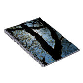 CARNET JAMAIS (Côté Droit)