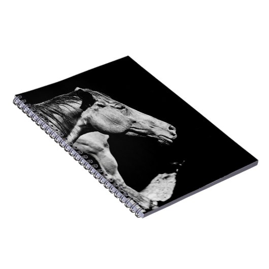 Carnet jambe de cheval (Côté Droit)