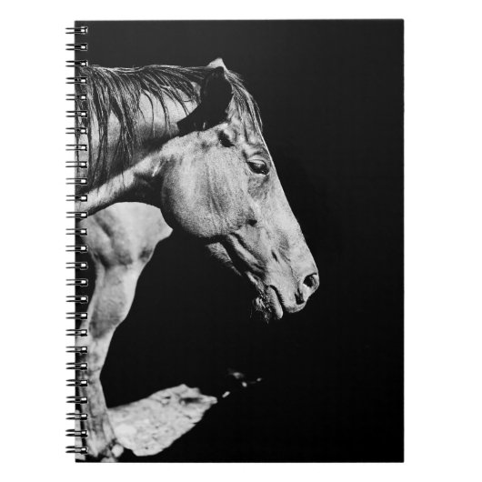 Carnet jambe de cheval (Devant)