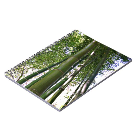 Carnet Japanese Garden Bamboo Forest Note Book (Côté gauche)