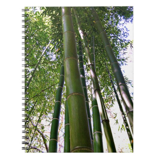 Carnet Japanese Garden Bamboo Forest Note Book (Devant)