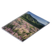 Carnet Jarbridge Wilderness et Montagnes, Nevada, Éperon (Côté gauche)
