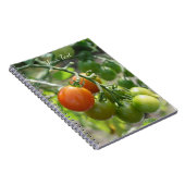 Carnet Jardin Cherry Tomates Nature (Côté Droit)