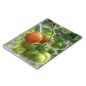 Carnet Jardin Cherry Tomates Nature (Côté gauche)