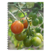 Jardin Cherry Tomates Nature