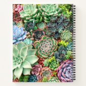 Carnet Jardin coloré Succulent (Dos)
