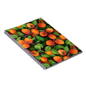 Carnet Jardin d'abricot 1 (Côté Droit)