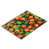 Carnet Jardin d'abricot 1 (Côté gauche)