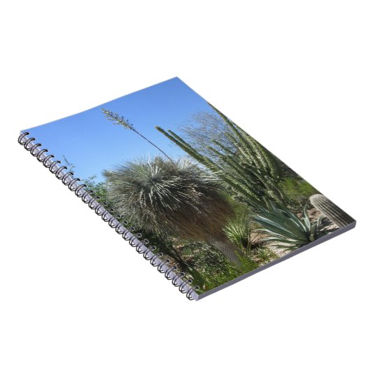 Carnet Jardin de Cactus (Côté Droit)