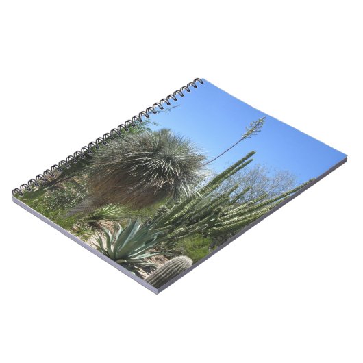 Carnet Jardin de Cactus (Côté gauche)