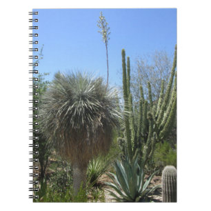 Carnet Jardin de Cactus