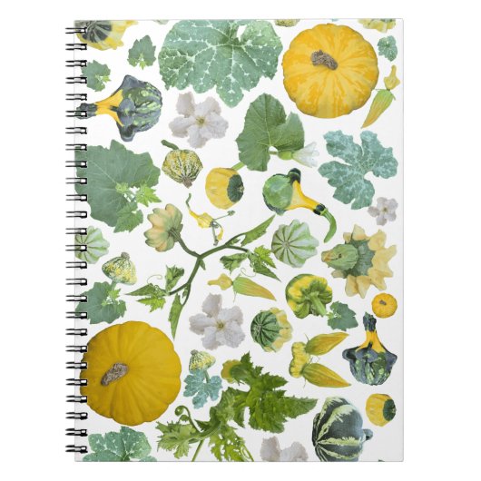 Carnet Jardin de courges (Devant)