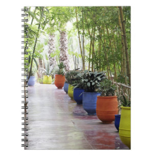 Carnet Jardin de Majorelle, Jardin de Majorelle, désormai