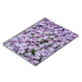 Carnet Jardin de Phlox Pourpre (Côté gauche)