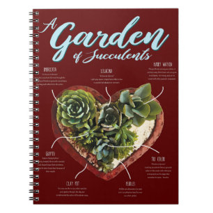 Carnet Jardin De Succulentes