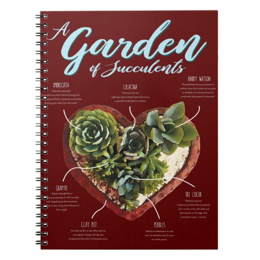 Carnet Jardin De Succulentes (Devant)