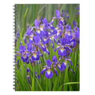 Carnet Jardin fleuri d'iris pourpre