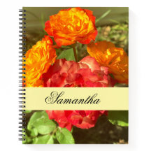 Jardin Orange Et Fleur Rouge