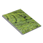 Carnet Jardins de thé de Munnar sur (Côté Droit)