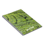 Carnet Jardins de thé de Munnar sur (Côté Droit)