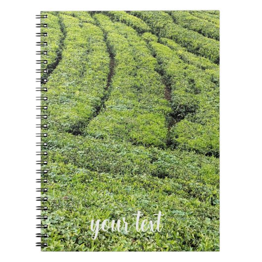 Carnet Jardins de thé de Munnar sur (Devant)