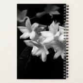 Carnet Jasmine Fleurs noir et blanc Photographie (Verso)